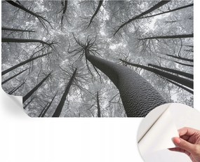 Öntapadós fotótapéta Nappali és Hálószoba Irodába Téli tájkép 416x254