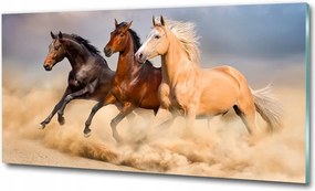 Fotótapéta üvegfalra Lovak a galoppban 100x70