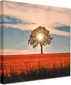 Vászonkép 60x60 Kilátás Tájkép