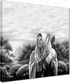 Vászonkép 30x30 A jó pásztor Bárányok