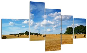 Modern képek - táj (150x85cm)