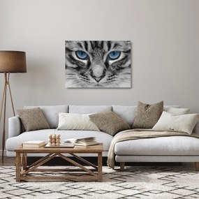 Macska képe (üvegen) (70x50 cm)