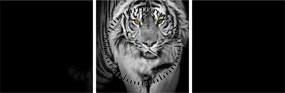 Kép - Sárga szemű tigris (órával) (90x30 cm)