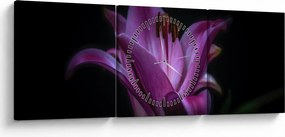 A liliom képe (órával) (90x30 cm)
