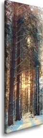 Vászonkép Erdő Tél Hó Fehér Természet 40x120 cm