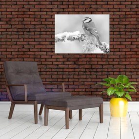 Üveg kép - Egy madár egy ágon (70x50 cm)