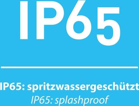 Paul Neuhaus modern kültéri fali lámpa robert antracit pln9676-13