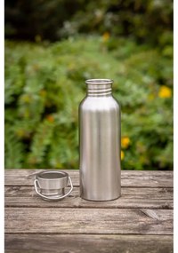 Ezüstszínű rozsdamentes acél ivópalack 650 ml – Esschert Design