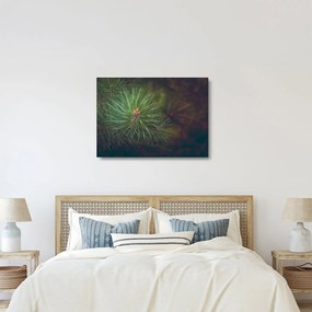 Kép - Fenyőfa részlete (üvegen) (70x50 cm)