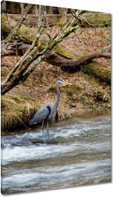 Vászonkép 80x120 Kalapos madár Tájkép Kilátás