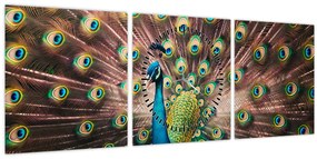 Kép - Páva (órával) (90x30 cm)