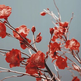 Poszter 20x20cm Bíbor Tavasz