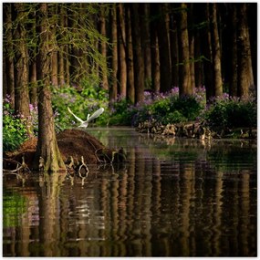 Poszterek 30x30 Tájkép Látvány