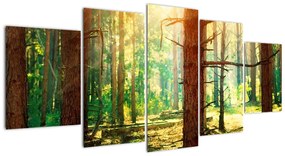 Modern képek - erdő (150x70cm)