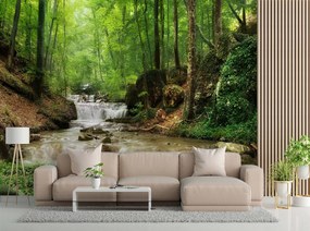 Gario Fotótapéta Víz az erdő közepén Anyag: Vlies, Méret: 400 x 280 cm