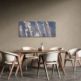 Kép - Fagy (120x50 cm)