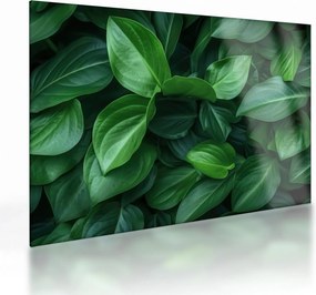 Üveg kép - Zöld levelek (70x50 cm)