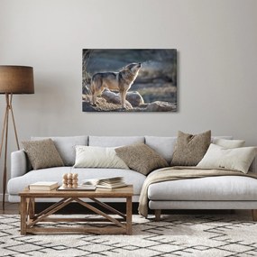 Kép - Üvöltő farkas (90x60 cm)
