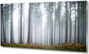 Fotó üvegkép Vízesés az erdőben 125x50