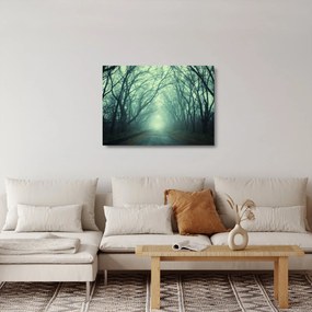 Kép - út a fasorban (üvegen) (70x50 cm)