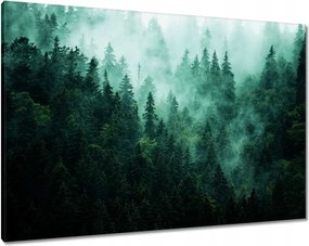 VĂĄszonkĂ©p 100x70 ErdĆ Köd TĂĄjkĂ©p UtazĂĄs