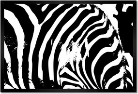Poszter keretben 60x40 Zebra csíkos állat