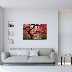 Red Japanese Maple, Portland, Oregon képe (90x60 cm)