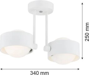 Argon MASSIMO PLUS 7088 Függőlámpa 2x6W/G9 IP44