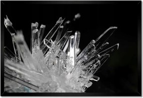 Poszterek keretben 60x40 Makrofotó MacroFoto