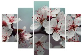 Virágos kép - piros (150x105 cm)