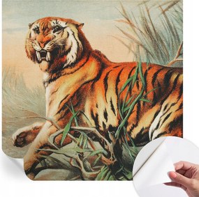 Dekoratív öntapadós fotótapéta Hálószobába Tigris természet 250x250 cm