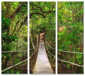 Kép szett 3 db-os 20x50 cm Forest – Wallity