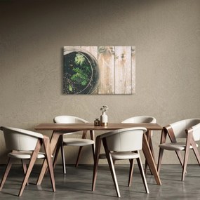 A pozsgás növények képe üvegben (90x60 cm)