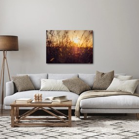 A mező képe naplementekor (70x50 cm)