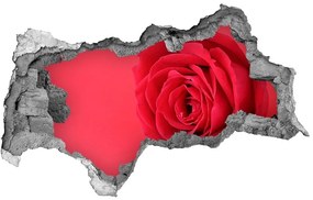 3d-s lyukat fali matrica Vörös rózsa nd-b-77656963