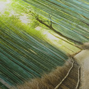 Kép - Bambusz erdő (90x60 cm)