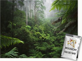 Fotótapéta Trópusi Erdő Dzsungel Levelek A Hálószoba Nappaliba Tapéta 200x140