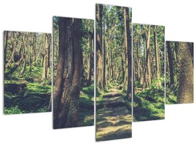 Kép egy út a fák között (150x105 cm)