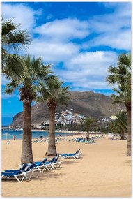 Poszterek 80x120 Nagy pálmafák a tengerparton