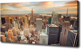 Vászonkép New York madár repülés 100x70cm