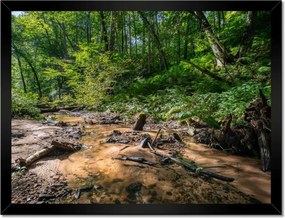 Poszterek keretben 40x30 Folyó Trópusi erdő