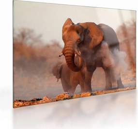 Üveg kép - Nagy afrikai elefánt (70x50 cm)