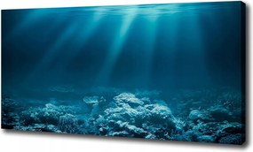 Vászonkép Víz alatti világ 100x70 cm