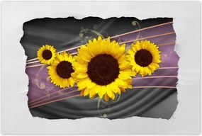 Poszterek 90x60 Napraforgó