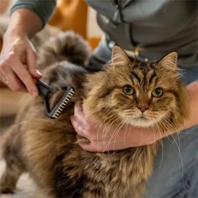Kisállat fésú, gubancbontó, FISKARS PetCare (IF2009136)