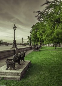 Poszter 20,5x28,4cm Pad a Temze-parti parkban, Assaf Frank