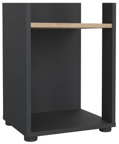 Antracitszürke-natúr színű könyvespolc tölgyfa dekorral 41x205 cm Sign – Tvilum