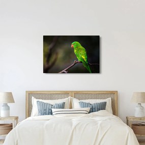 Papagáj egy ágon képe (90x60 cm)