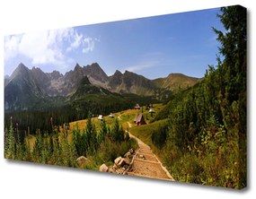 Canvas kép Hall-Meadow Mountain Road Nature 100x50 cm