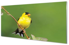 Üvegképek sárga papagáj 100x50 cm